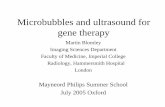 Microbubbles and ultrasound for gene therapy