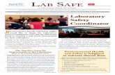 Lab Safe is a quarterly newsletter written and distributed by