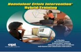 A flexible Nonviolent Crisis Intervention training delivery