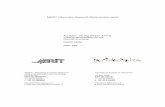 MERIT-Infonomics Research Memorandum series Auctions - the Big