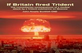 If Britain fired Trident