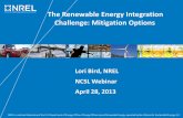 The Renewable Energy Integration Challenge: Mitigation Options