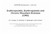 Erythropoietin, Erythropoiesis and Chronic Mountain Sickness (CMS)