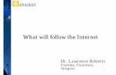 What will follow the InternetWhat will follow the Internet