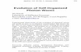 Evolution of Self-Organized Photon Waves - Apeiron