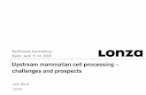 Upstream mammalian cell processing â€“ challenges and prospects