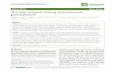 The fate of lignin during hydrothermal pretreatment - Biotechnology