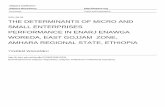 THE DETERMINANTS OF MICRO AND SMALL ... - ir.bdu.edu.et