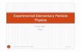 Experimental Elementary Particle Physics