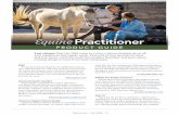 Equine Practitioner - The Horse