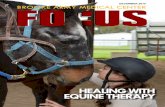 HEALING WITH EQUINE THERAPY