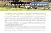The Grass is Greener in Kentucky - University at Buffalo