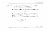 Caldon Experience in Nuclear Feedwater Flow Measurement.