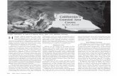 Californiaâ€™s Coastal Sea Caves - Good Earth Graphics