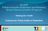 Futures for Tribal Youth in Detention