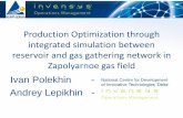 Production Optimization through integrated simulation between