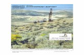 EUREKA COUNTY, NEVADA MINERAL ASSESSMENT REPORT