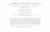 Semi-Supervised Multitask Learning