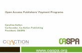 Open Access Publishersâ€™ Payment Programs