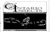 NTARIO NSECTS - Ontario Insects