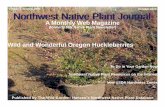 Northwest Native Plant Journal - The Wild Garden: Hansen's