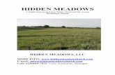 HM Brochure - web posting no price - Hidden Meadows
