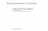 Citrix ICA Client Object