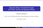 Quantum Binary Polyhedral Groups And Their Actions On Quantum