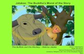 Jatakas: Buddha's Moral of the Story - ResearchDTMack
