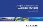 Illegal, unreported and unregulated shark catch: A review of - Traffic