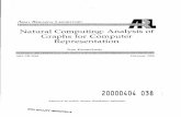 Natural Computing: Analysis of Graphs for Computer Representation