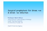 Surgical prophylaxis for Gram +ve & G & Gram –ve infection