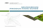Mungbean Production Guide - Cambodia