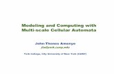 Modeling and Computing with Multi-scale Cellular Automata