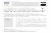 Antimicrobial activity of some actinomycetes from Western ...