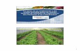 Crops Produced Using High Tunnels - CRAAQ