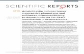 Ameloblastin induces tumor suppressive phenotype and ...