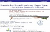 Simulating Root Density Dynamics and Nitrogen Uptake – Can ...