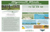 Weymouth Woods - NC