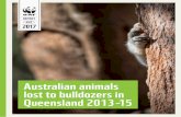 WWF Australia Report: Australians animals lost to ...