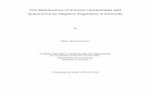 The Maintenance of Immune Homeostasis and Quiescence by ...