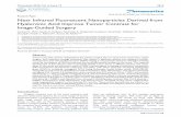 Research Paper Near Infrared Fluorescent Nanoparticles ...