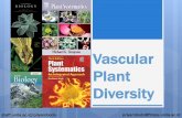 Higher Plant Diversity - Unila