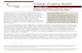 TANF Policy Brief - CLASP