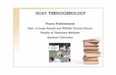 goat theriogenology - Kasetsart University