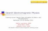 Geant4 Electromagnetic Physics