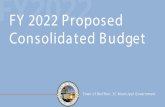 FY 2022 Proposed Consolidated Budget