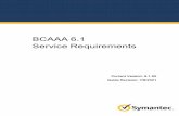 BCAAA6.1 Service Requirements