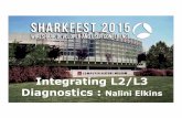 Integrating L2/L3 Diagnostics : NaliniElkins
