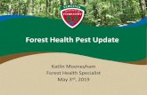 Forest Health Pest Update